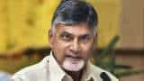 CM N Chandrababu Naidu urges Google to set up chip design, manufacturing unit in Visakhapatnam