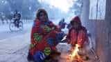 Cold weather persists in Rajasthan, Nagaur records low of 3 degree Celsius