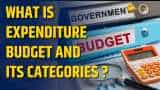 Union Budget 2025 : Understanding the Expenditure Budget and Categories