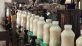 Parag Milk Foods Q3 Results: Profit rises 6% to Rs 36 crore 