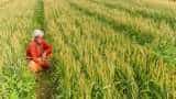 Budget 2025: Government announces PM Dhan-Dhaanya Krishi Yojana, to benefit 1.7 crore farmers Budget 2025: Government announces PM Dhan-Dhaanya Krishi Yojana, to benefit 1.7 crore farmers