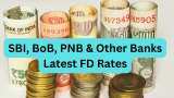 Highest FD Rates: This is what banks like SBI, BoB, PNB, Canara Bank, ICICI Bank and HDFC Bank are providing on Rs 2 lakh investment