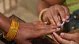 Delhi Elections 2025: Is your name missing from voters&#039; list? Find out Now using these steps
