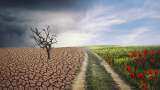 India has received USD 1.16 billion in climate finance so far: Government 