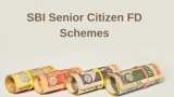 SBI Senior Citizen FD Rates: Know what leading PSU bank is giving on Rs 2,00,000, Rs 2,50,000, and Rs 3,00,000 investments in fixed deposits