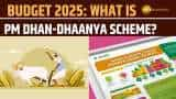 Budget 2025: What is PM Dhan-Dhaanya Scheme? Aim to benefit 1.7 crore farmers; Know its benefits