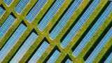 India Energy Week 2025 set to be 2nd largest energy event globally: 5 things to know