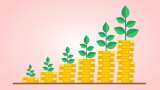 Value mutual funds attract Rs 1,556 crore inflow in January; outlook remains optimistic in 2025