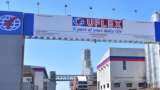 Uflex logs Q3 consolidated net profit of Rs 137 crore; revenue up 12.7%; shares jump 5%