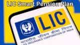 LIC Smart Pension Plan: Should you invest in this new scheme? Check eligibility and benefits