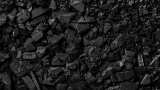Coal India sets 788 MT production, 765 MT offtake for FY&#039;25; rules out price cut