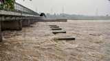 Delhi government plans Yamuna Task Force to curb encroachment, dumping