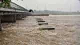 Delhi government plans Yamuna Task Force to curb encroachment, dumping
