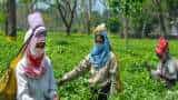 Assam Budget: Ajanta Neog's Rs 2.63 lakh crore plan offers sops to youth, tea garden workers