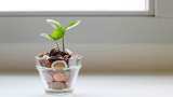 Retirement Planning by One-time Investment: How Rs 3,70,000 lump sum deposit can generate Rs 1,41,00,000 corpus in long term