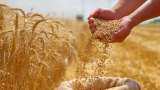 Wheat procurement to begin in UP soon, MSP set at Rs 2,425 per quintal