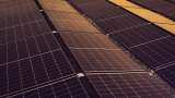 Domestic imports of solar cells and modules declined by 20% and 57% in first eight months of 2024-25: Rubix