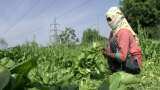 Centre reiterates commitment to farmers&#039; welfare; next meeting on May 4
