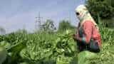 Centre reiterates commitment to farmers' welfare; next meeting on May 4