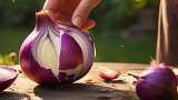 Good news, onion farmers! 20% export duty removed from April 1—See details 