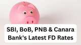 SBI, BoB, PNB &amp; Canara Bank&#039;s Latest FD Rates: Know your maturity amount on Rs 1 lakh, Rs 2 lakh, Rs 3 lakh investments in 1-year, 3-year and 5-year FDs; check out calculations