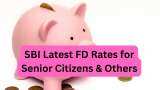 SBI Latest FD Rates for Senior Citizens &amp; Others: Know what you can get on maturity of Rs 5,00,000 investment from this PSU bank in 1-year, 3-year and 5-year FD plans