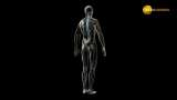 Indira Gandhi International Airport to start full-body scanner trials soon—10 things to know | Delhi