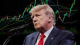 Sector surge powers D-Street comeback; Pharma, Metals &amp; IT lead the charge as Trump hits pause on tariffs
