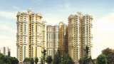 NCLAT dismisses Supertech promoter&#039;s plea against personal insolvency proceedings 