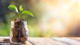 Sukanya Samriddhi Yojana vs SIP: Which investment can offer higher return on Rs 1.1 lakh over 15 years