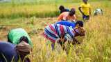 Farmers in Jammu and Kashmir harvest early as border tensions rise following Pahalgam terror attack