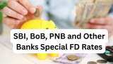 SBI, BoB, Canara Bank, PNB, Indian Bank Special FD Rates: Know what senior citizens and others can get on maturity of Rs 1,00,000 investment