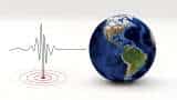 Earthquake Today: 4.6 magnitude quake jolts Pakistan