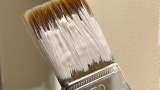 Berger Paints Q4 FY25 Results: PAT grows better-than-expected 18%; 380% dividend declared