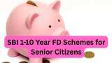 SBI 1-10 Year FD Schemes: Here&#039;s what PSU bank is giving on Rs 12,00,000 deposit to senior citizens on 1-year, 3-year, 5-year, 10-year FD schemes