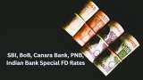 SBI, BoB, Canara Bank, PNB, Indian Bank Special FD Rates: Know what senior citizens can get on maturity of Rs 11,00,000 investment in these special tenure FDs