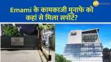 Emami Margin Pressure and Growth Triggers Explained