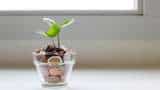 Small Sip Big Gains Child Wealth: How your Rs 1 lakh/year SIP investment for 5 years can grow to Rs 3.76 crore by your child turns 40