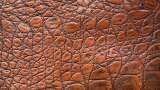 DGFT eases export norms for leather products to increase trade