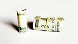 Top 7 Smallcap Mutual Funds With Highest Returns in 10 Years: Top-performer scheme has turned Rs 11,000 monthly SIP into Rs 53 lakh