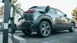 Shortage of rare earth magnets can decelerate India&#039;s automotive ride: Crisil report
