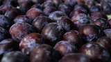 Rs 50-60/kg in India, Rs 110/kg abroad? India&#039;s first ever fresh black plum (jamun) consignment heads to London!