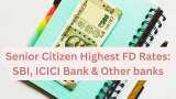 Senior Citizen Highest FD Rates: Compare interest rate of banks like SBI, PNB, HDFC Bank and maturity on Rs 11,50,000 investment in 1-5 year FDs