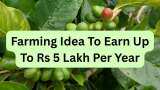 Can your 2 acre farming land earn you Rs 5 lakh profit every year? Learn all about this everyday commodity