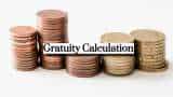 Gratuity Calculator: What will be your gratuity for Rs 65,000, Rs 75,000 &amp; Rs 85,000 last-drawn basic salary after 9 years and 6 months of service?