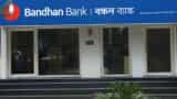 Bandhan Bank shares slide 4% after 65% Q1 profit drop — should you buy, sell or hold? Bandhan Bank shares slide 4% after 65% Q1 profit drop — should you buy, sell or hold?