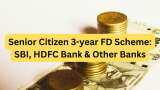 Senior Citizen 3-year FD Scheme: Investing Rs 8,00,000 in FD? Know which PSU or private bank can give you highest maturity amount?