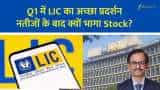 lic q1 growth stock rally ceo interview fraud detection