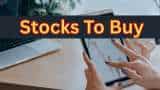 7 Stocks To Buy For Long Term: Analysts recommend largecap, midcap, smallcap scrips; Dalmia Bharat, TVS Motor on the list