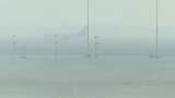 IndiGo issues fog advisory for Northern India flights amid poor visibility
